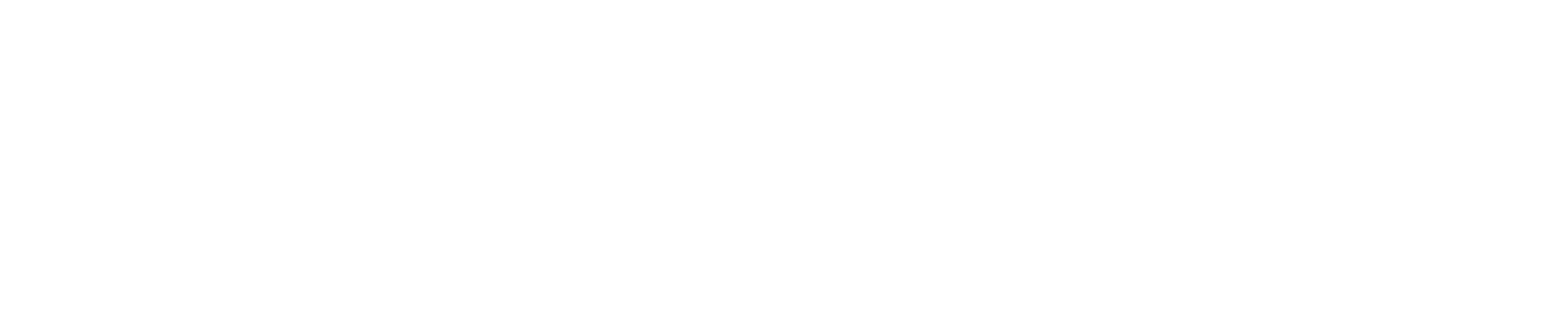 Wish Night North Texas Logo